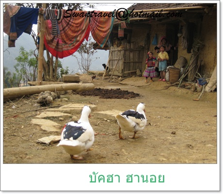 ทัวร์ต่างประเทศ เวียดนาม33บัคฮา ฮานอย